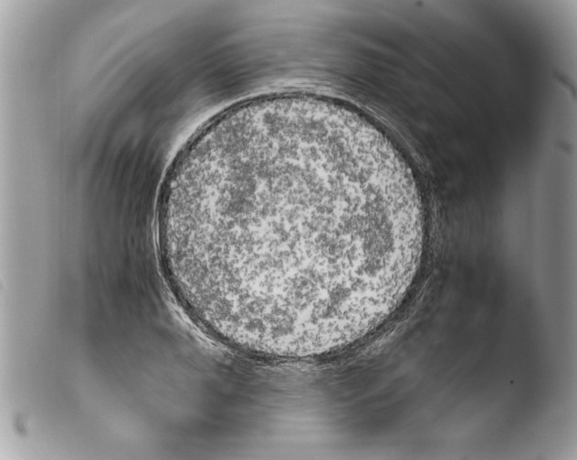 X0000103900888200810171611