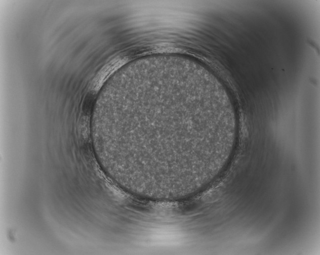 X0000103900889200810171611