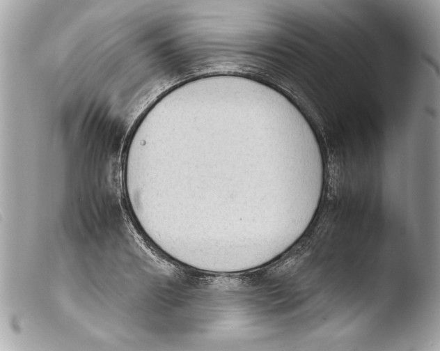 X0000103900890200810171611