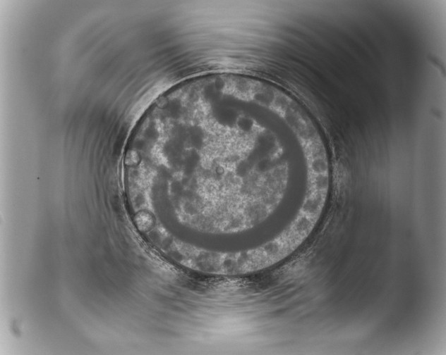 X0000103900891200810171611