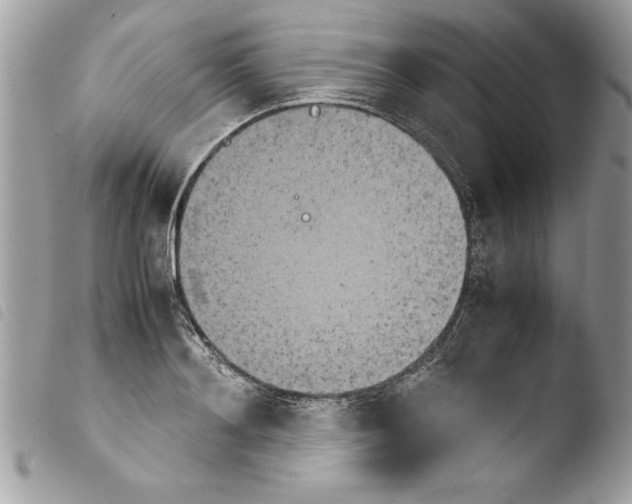 X0000103900892200810171611