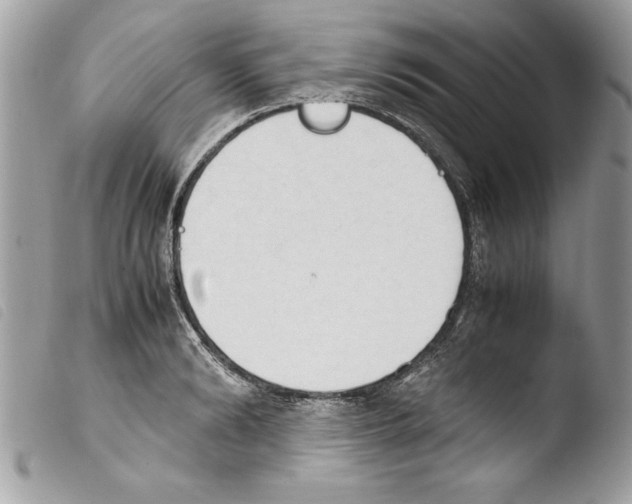 X0000103900894200810171611