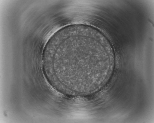 X0000103900895200810171611