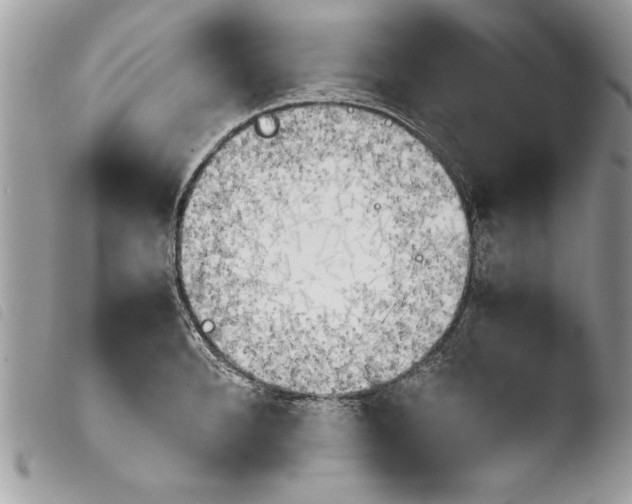 X0000103900896200810171611