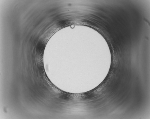 X0000103900897200810171611