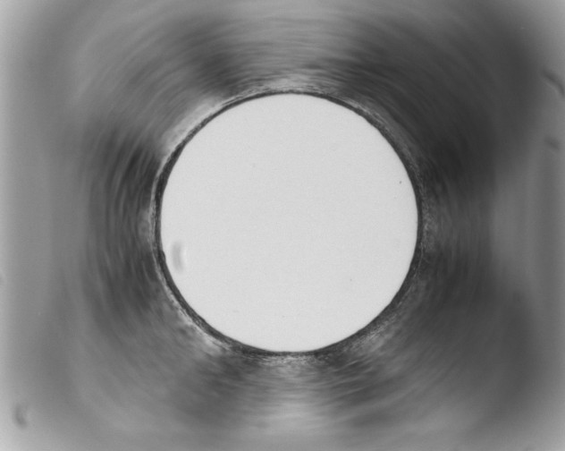 X0000103900902200810171611