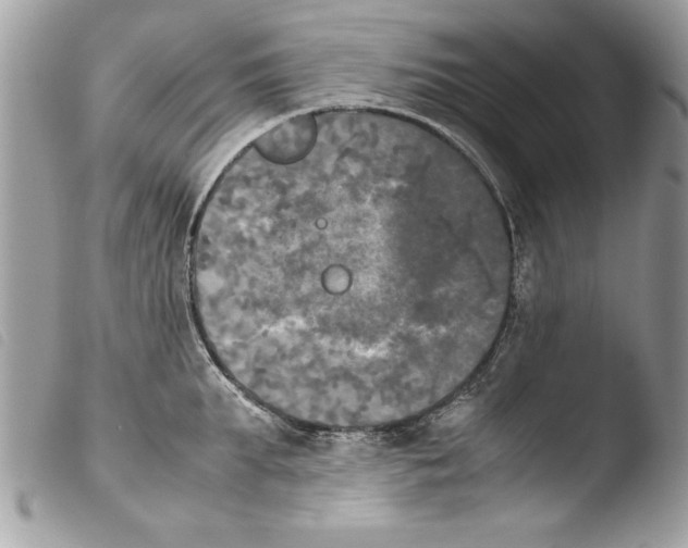 X0000103900903200810171611