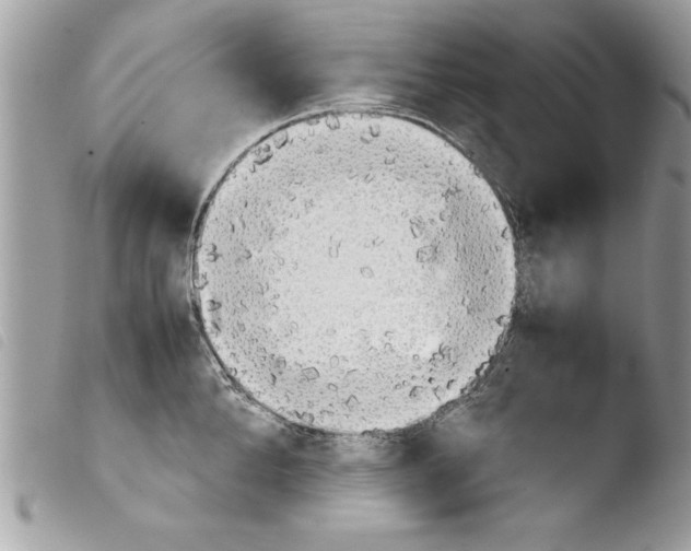 X0000103900904200810171611