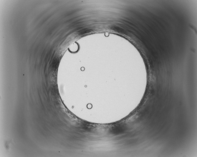 X0000103900905200810171611