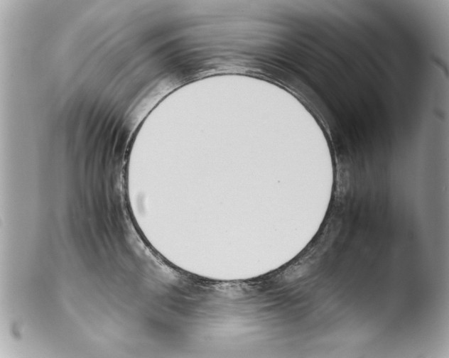 X0000103900906200810171611