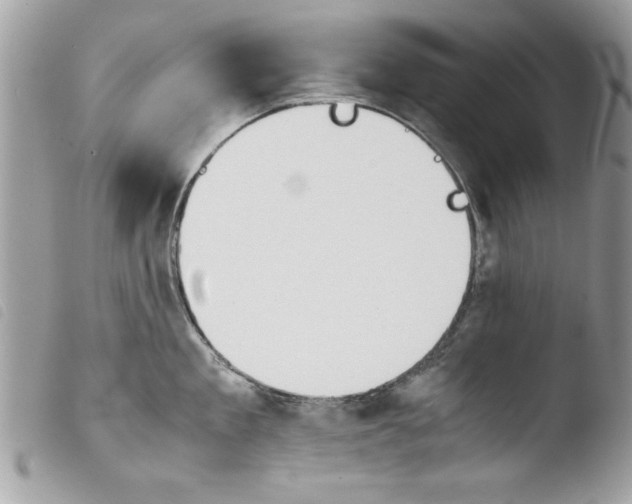 X0000103900909200810171611