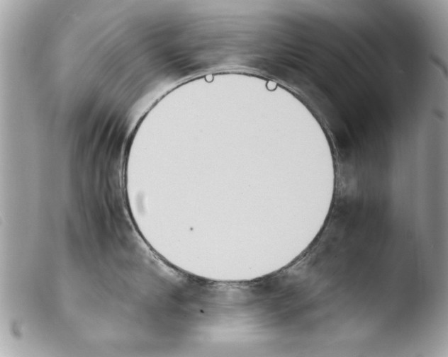 X0000103900910200810171611