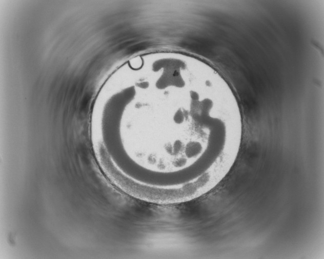 X0000103900911200810171611