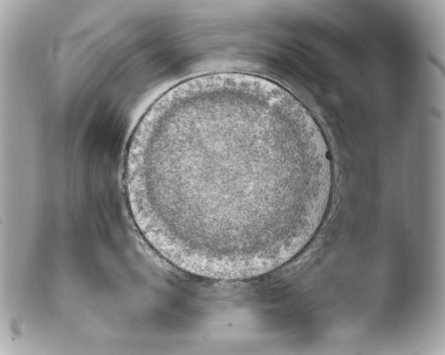 X0000103900912200810171611