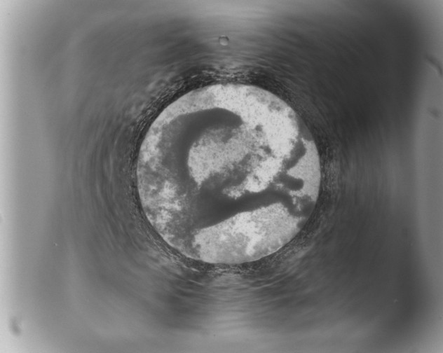 X0000103900913200810171610