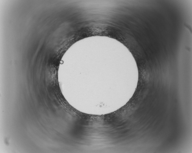 X0000103900914200810171610