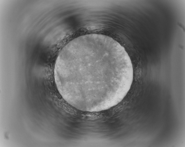 X0000103900917200810171610