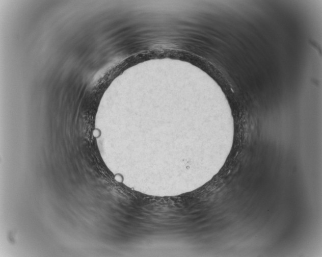 X0000103900919200810171610