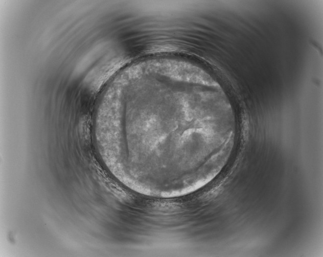 X0000103900921200810171610