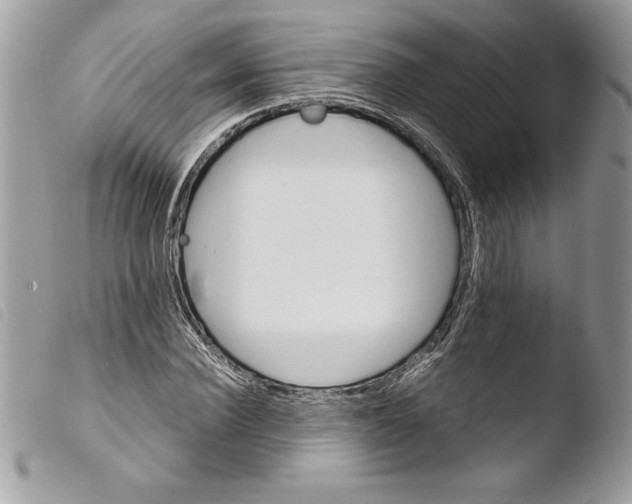 X0000103900924200810171610