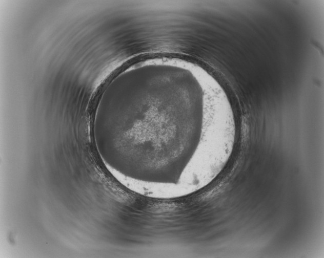 X0000103900925200810171610