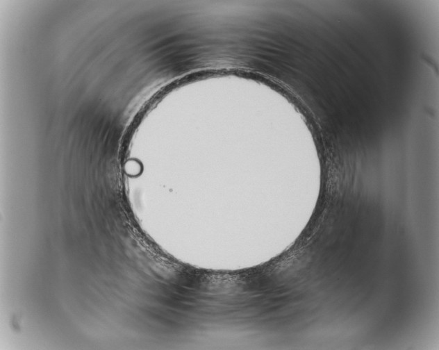 X0000103900927200810171610