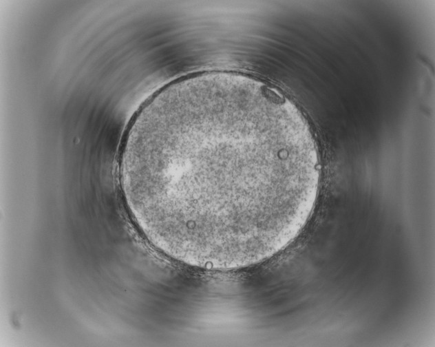 X0000103900928200810171610