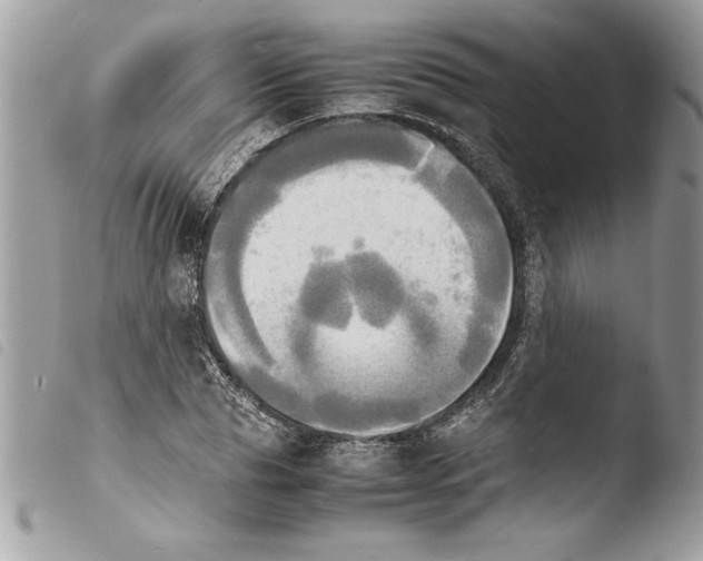 X0000103900929200810171611