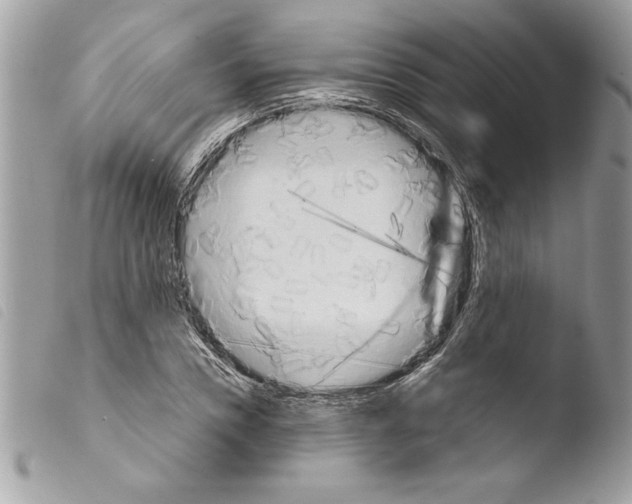 X0000103900930200810171611