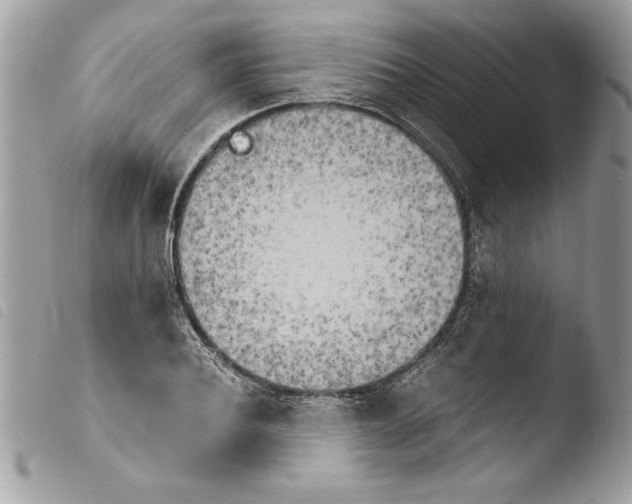 X0000103900932200810171611