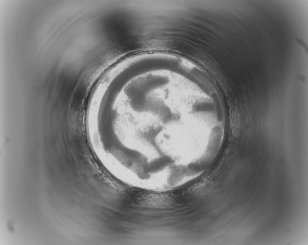 X0000103900933200810171611