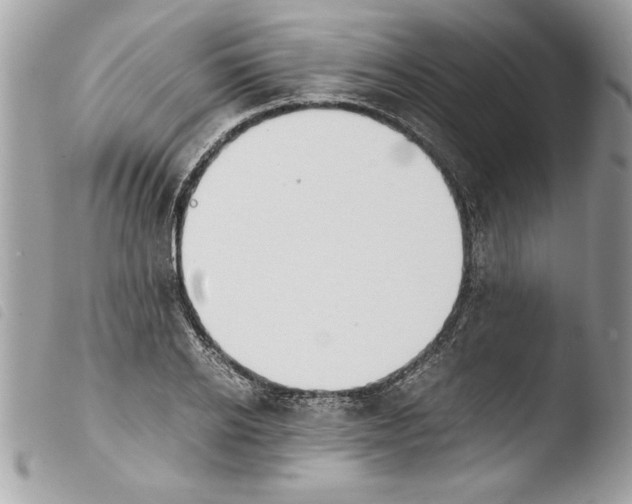 X0000103900934200810171611