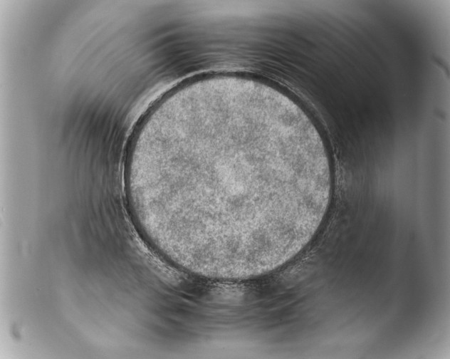 X0000103900935200810171611