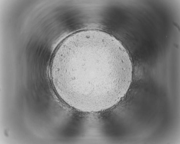 X0000103900936200810171611