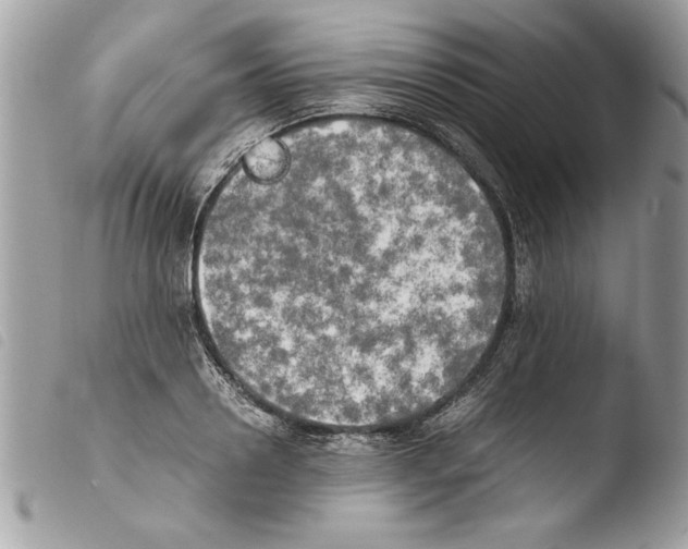 X0000103900938200810171611