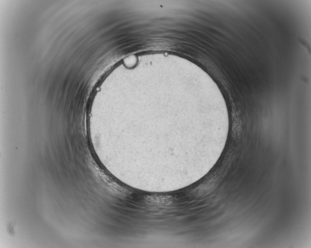 X0000103900939200810171611