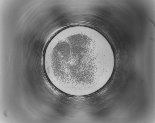 X0000103900940200810171611