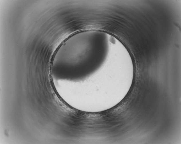 X0000103900941200810171611