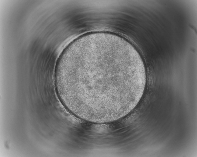 X0000103900943200810171611