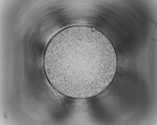 X0000103900944200810171611