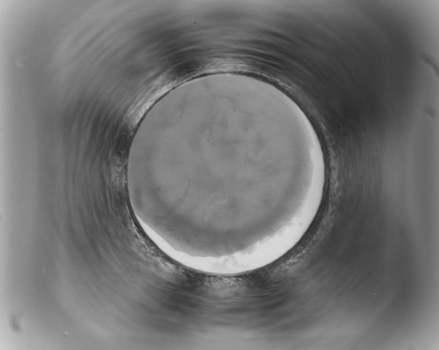 X0000103900945200810171611