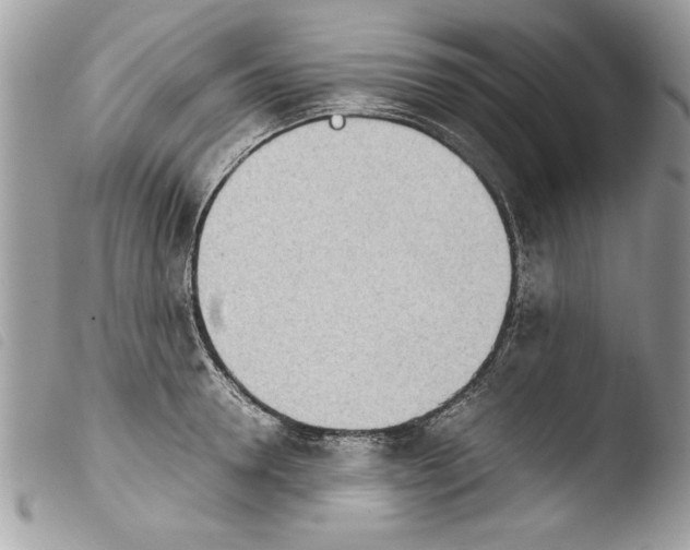 X0000103900946200810171611