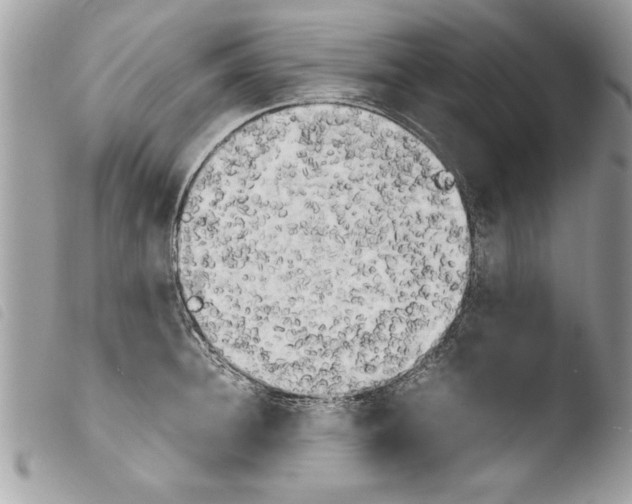 X0000103900948200810171611