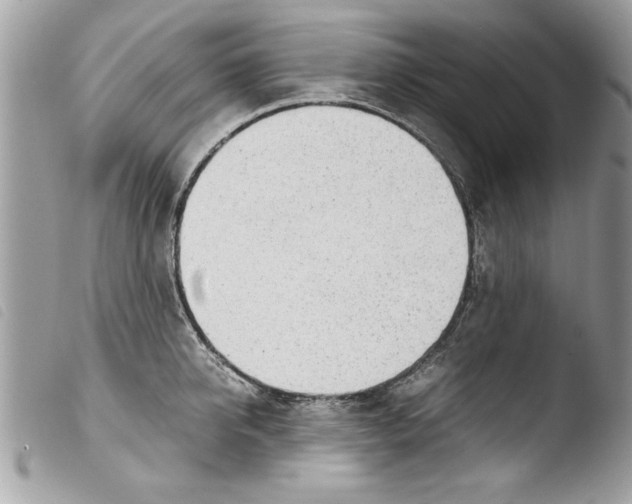 X0000103900950200810171611