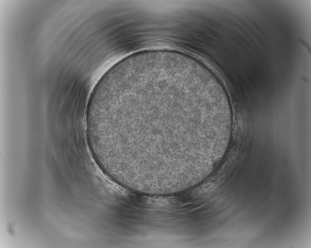 X0000103900951200810171611