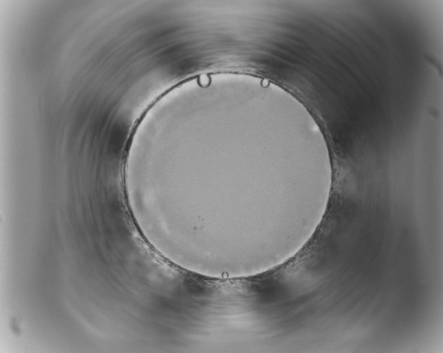 X0000103900952200810171611