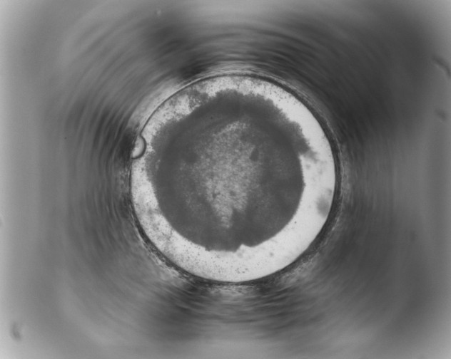 X0000103900953200810171611