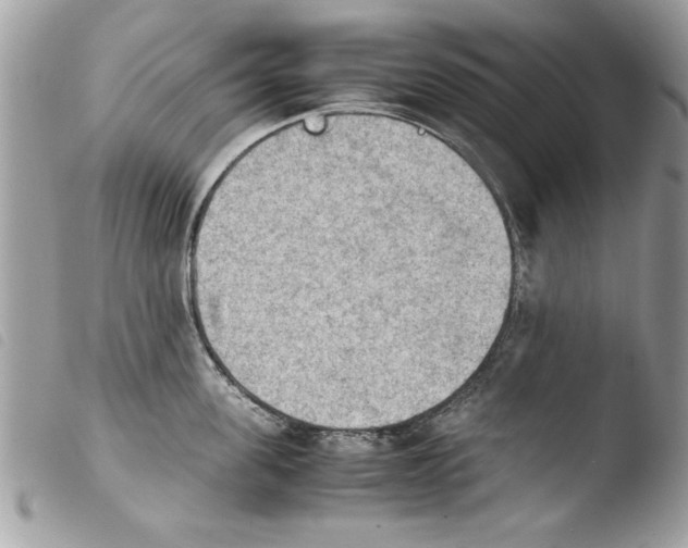 X0000103900955200810171611