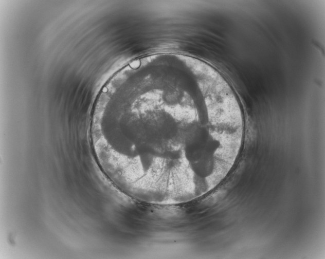 X0000103900957200810171611