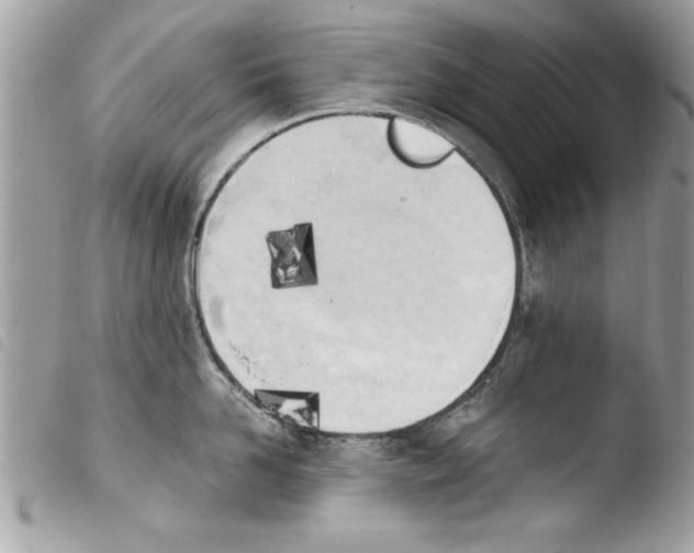 X0000103900958200810171611